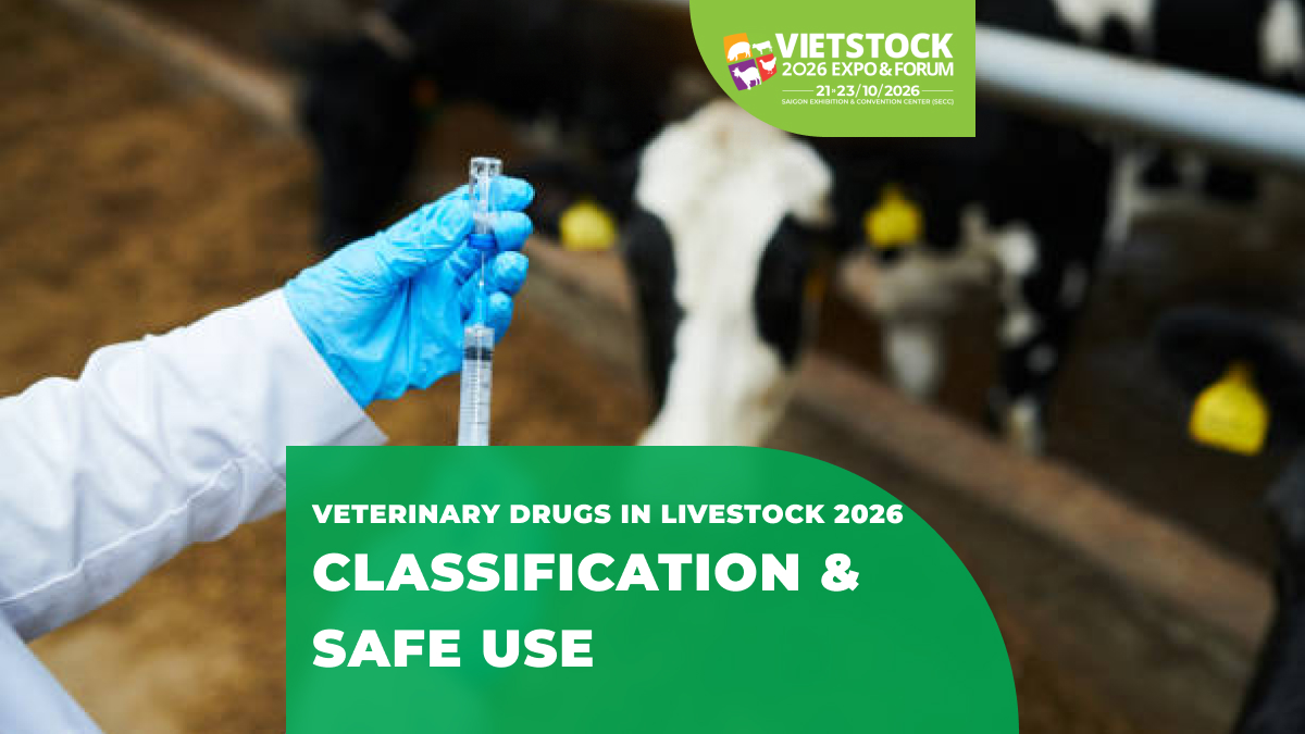 Veterinary Medicines in Livestock Production in 2026: Classification, Principles of Use, and Safety Notes